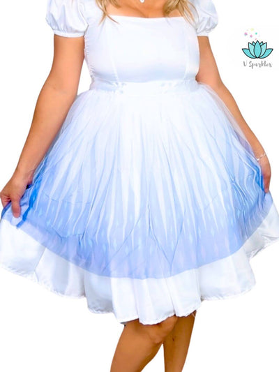 Ice Queen 2 Dress Set for Women – Ideal for Disneybounding and Holiday Celebrations – This Queen Elsa-inspired dress set is perfect for creating an elegant look at Disneybounding events, holiday parties, or winter-themed gatherings. Available in mid-size and plus-size options.